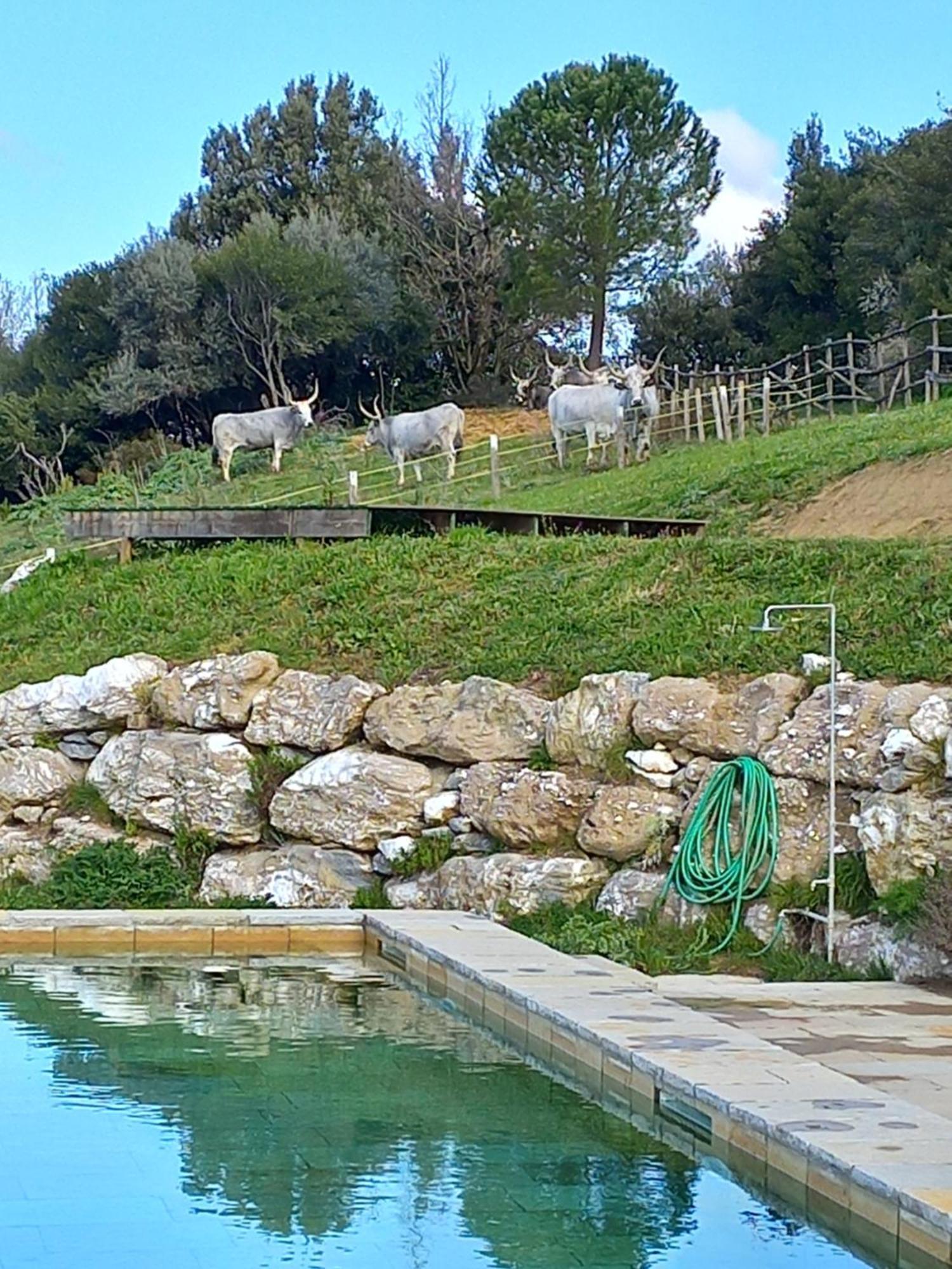 Case Di Gello Montecatini Val di Cecina Exterior photo